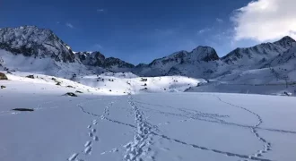DUPLEX SUR PISTES DE SKIS